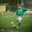 [명언 150선] 책 내가 꿈을 이루면 나는 누군가의 꿈이 된다 中 성공 명언/좋은글 - 16 이미지