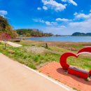 화진포둘레길(죽정리) 이미지