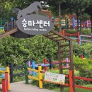 안성모자 | 안성팜랜드 재방문 후기 | 여름코스모스, 레이싱카트, 동물공연까지 아이랑 가볼만한 곳