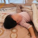 초이휴캠핑장 이미지