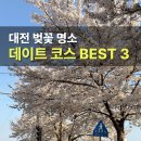 오월드 | 대전벚꽃명소 BEST3 한밭수목원 오월드 테미오래 벚꽃 데이트 후기