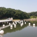 수원-1009 이미지