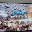 [8월12일] 안전.예절교육 : 물놀이안전교육 이미지