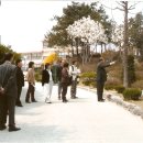 흥도초등학교 이미지