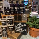 강남역 LUSH 러쉬 템플오브더스카이, 험프티덤프티 배쓰밤 구매후기