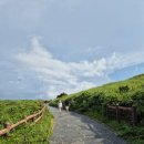 성산읍 고성리 1123-16 | 제주도 아기랑 여행 동쪽코스 추천(맛집 추천)