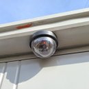 부송농장 이미지