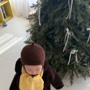 더 슈트(The SUIT) | 12월 주간일기 3. 새로운 게 필요해