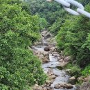 수원-1491 이미지