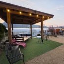 마이펫 룸 이미지