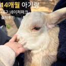 14 | 14개월 아기랑 대구 네이처파크 후기, 쿠팡으로 저렴하게 다녀온 꿀팁