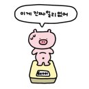 미스터낙곱새기흥 이미지