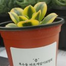 복수동 행정복지센터 이미지