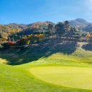 공항골프존 이미지