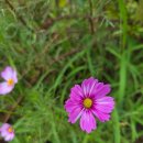 시낭송과 그림책테라피 이미지