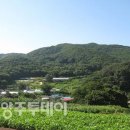 토종성황림마을 이미지