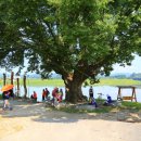 나루터로1-5 이미지