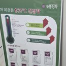 구로종로약국 | [서울 구로] 쑥뜸천하 전신돔뜸 면역력 증진 — 몸도 마음도 ‘따뜻해진 날’
