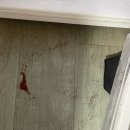 알리안경 이미지