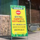 칠곡군 | 수영장 있는 칠곡군 송정자연휴양림 숙박 찐 후기