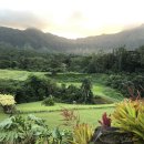 수락골프클럽 | 하와이 골프 여행기: 천국의 페어웨이를 걷다!