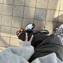 아리따움방이 | 여름에 끼워넣는 잡동사니 (집구하기, 동물원, 이사, 이케아)