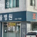 조은동물병원 이미지