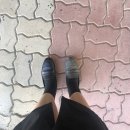 송화목장 이미지