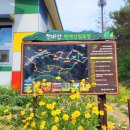 편백인 울산 이미지