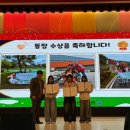 정선군 도전 이미지