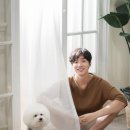 터치오브라이트 이미지