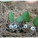 삼육미래클어린이집 이미지