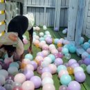 독스호텔리어 이미지