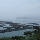 신안갯벌세발낙지 이미지