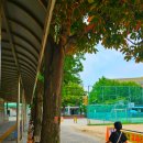 홍익디자인고등학교 이미지