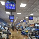 노량진 수산시장 맛집 후기!(feat. 오징어회)