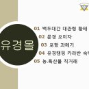 대관령농특산물