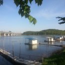 매송낚시터 이미지