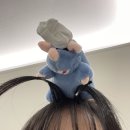 이십사-십일 이미지