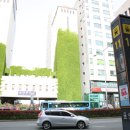 중앙동 상가밀집지역1 이미지