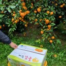 영평농장 이미지