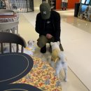 히포파통 이미지