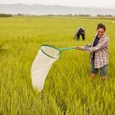 gc-camera-033 이미지