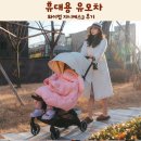 3 | 휴대용 유모차 육아용품 추천 와이업 지니에스3 후기