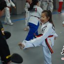 용인대 정심태권도 이미지