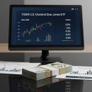 다우통상 | [월배당 ETF 추천] 1,000만 원 투자하면 매월 얼마? 타이거 미국배당다우존스 후기