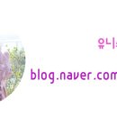 로타리 퓨전포차 이미지