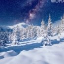 우먼센스 이미지