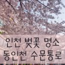 동인천역 교통광장 | 인천 벚꽃 숨은 명소 동인천역 수문통 거리(벚꽃 까페 추천 대중교통 이동가능)