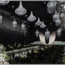 벨라마레 이미지